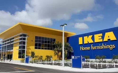 科技推廣與應用服務 透視真實的新西蘭生活體驗