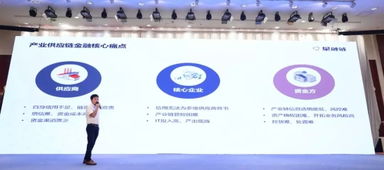 協同創新，共促發展 互聯網招標采購行動技術創新成果推廣運用交流會在京圓滿舉行